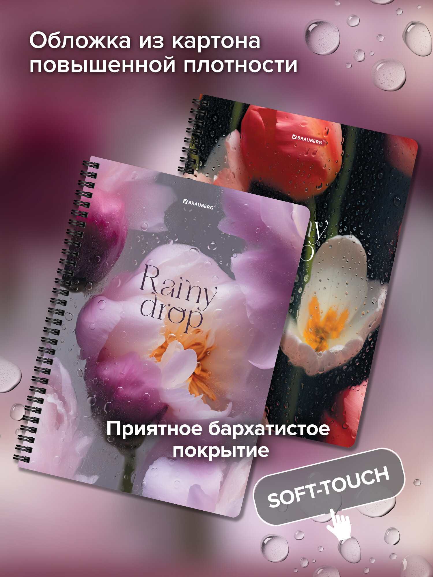 Общая тетрадь Brauberg клетка 96 лист. 2 шт. - фото 1