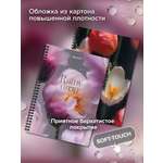 Общая тетрадь Brauberg клетка 96 лист. 2 шт.