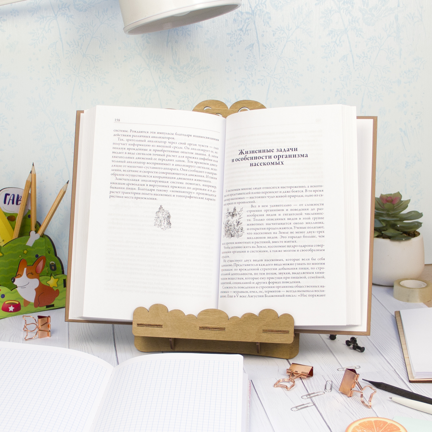 Подставка для книг Символик - фото 5
