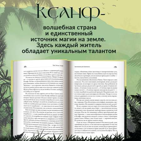 Книга Феникс Заклинание для Хамелеона: фэнтези
