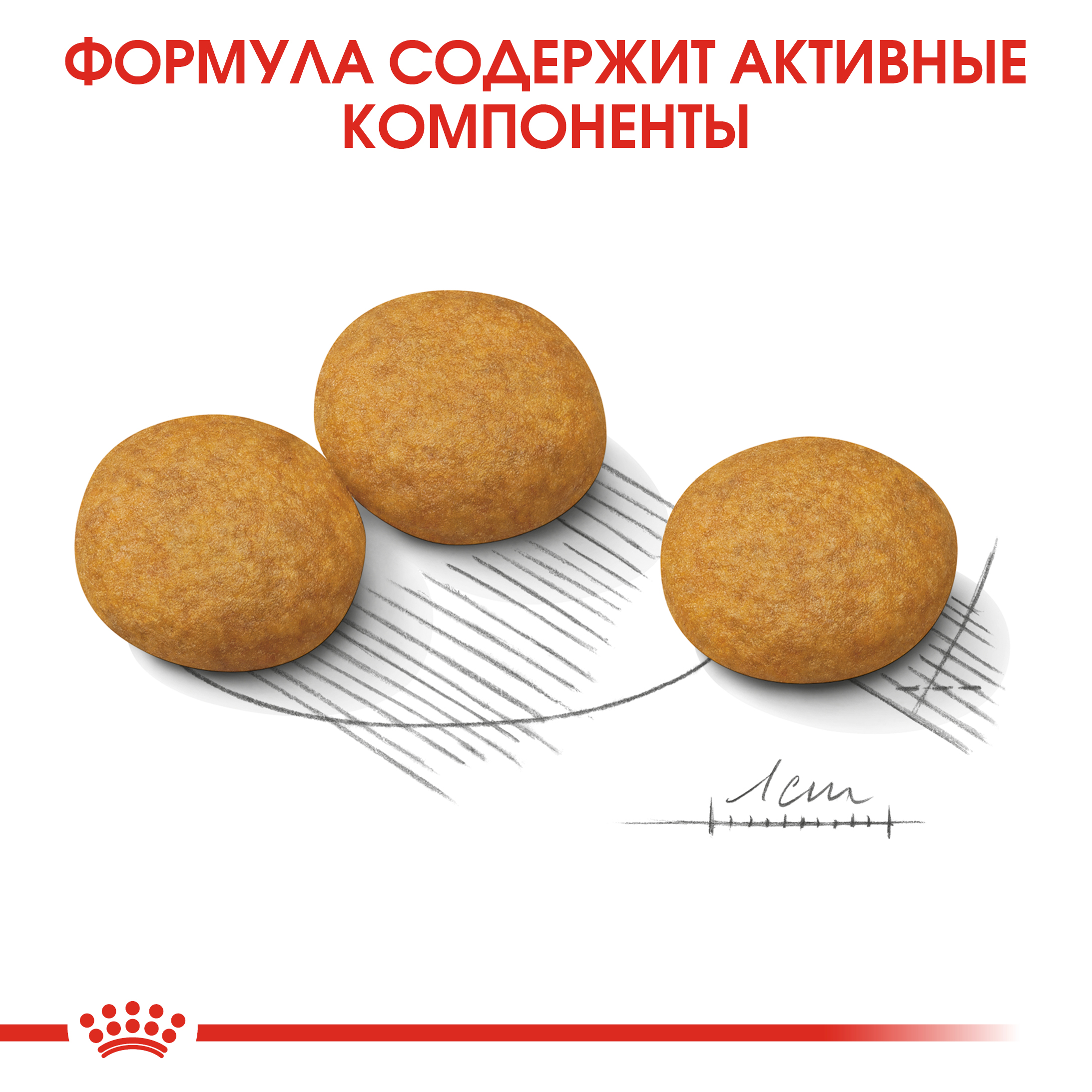 Корм для собак ROYAL CANIN Medium Dermacomfort средних пород склонных к кожным раздражениям и зуду 10кг - фото 6