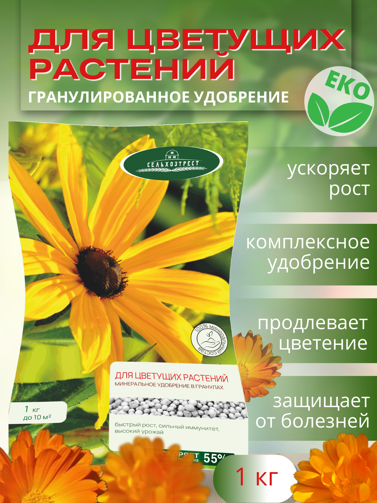 Удобрение осеннее Сельхозтрест Для цветущих растений 1 кг - фото 2