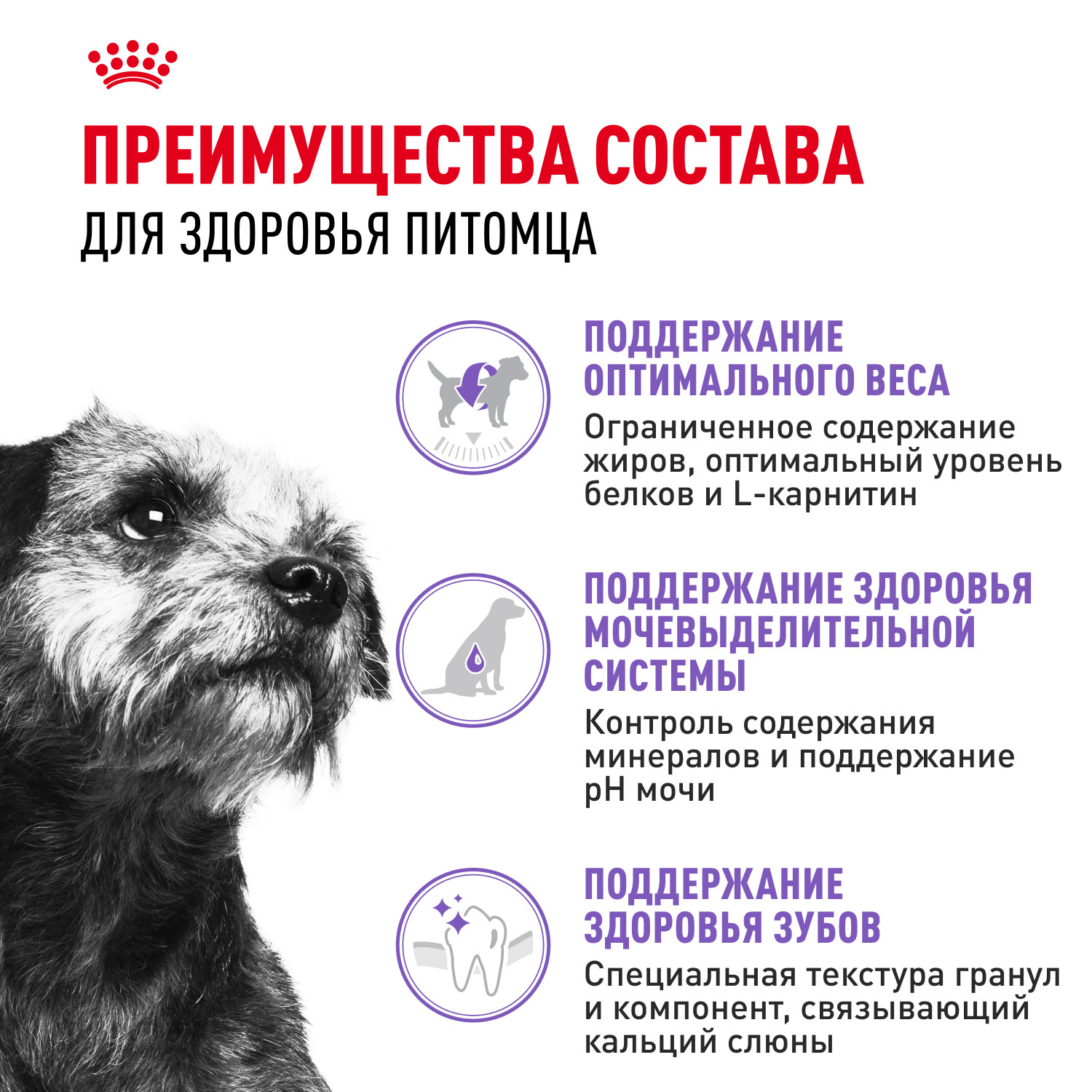 Корм для собак ROYAL CANIN Mini Sterilised стерилизованных 3кг - фото 3