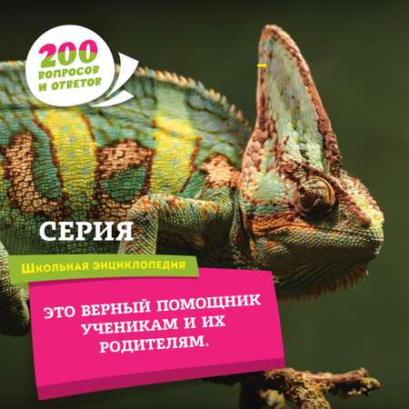 Книга Махаон Города и страны мира (Перевод Ольги Лифинцевой)