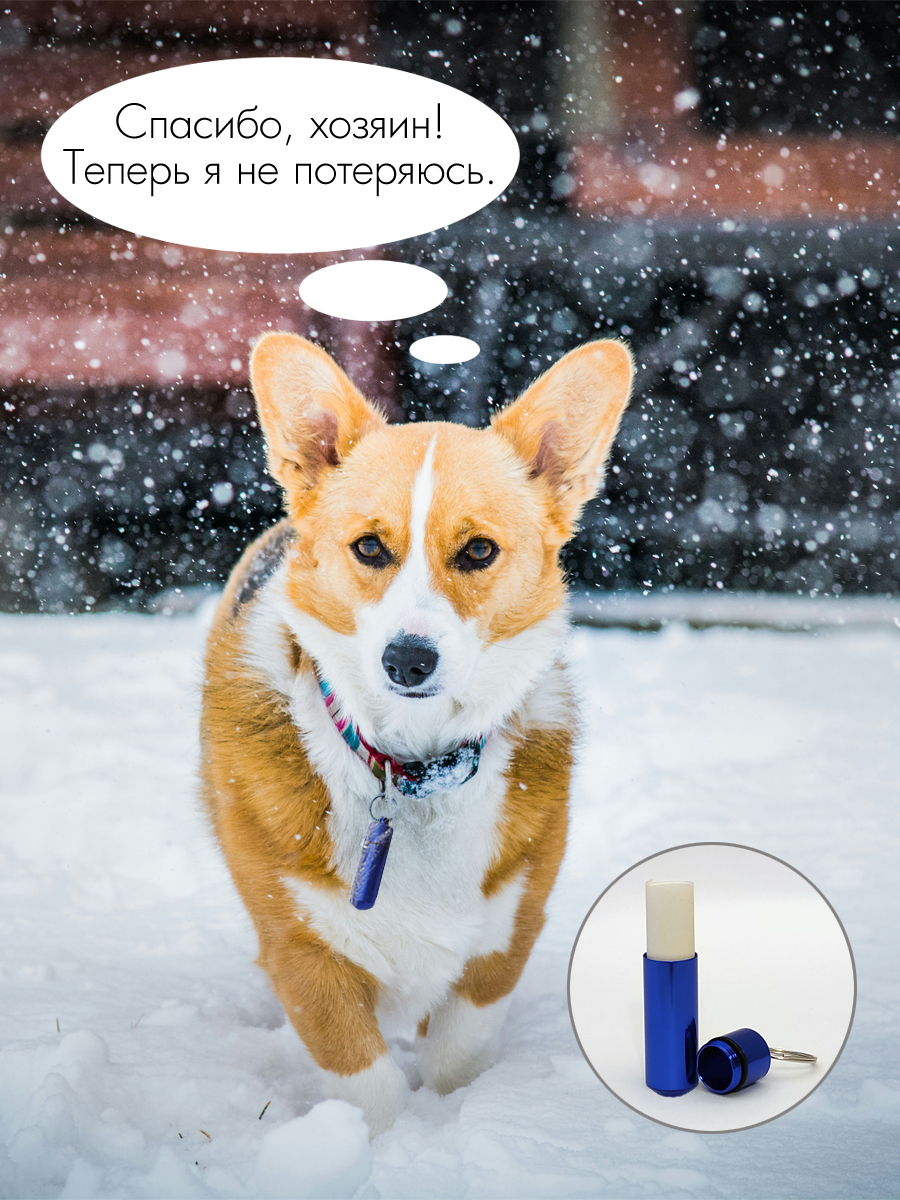 Капсула-брелок Solaris 14мм*52мм Синяя - фото 6