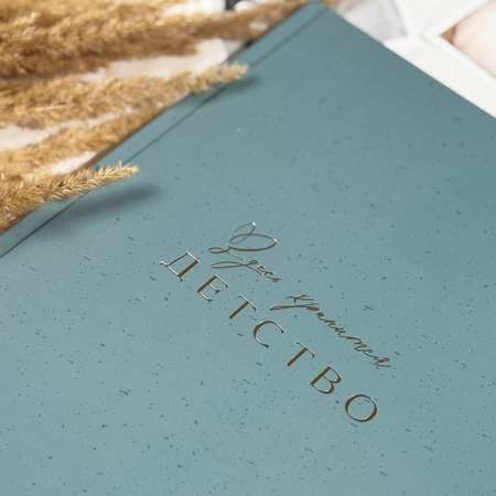 Альбом для новорожденных Amabook Голубое небо