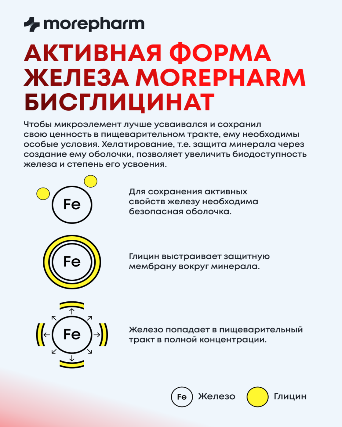 Бад morepharm Витамины Железо хелат 40мг 90 капсул - фото 9
