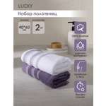 Полотенце LUCKY 40 x 60 см 2 шт.
