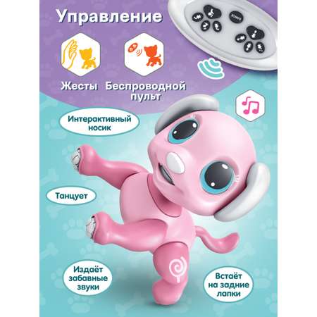 Собака РУ Mioshi животные