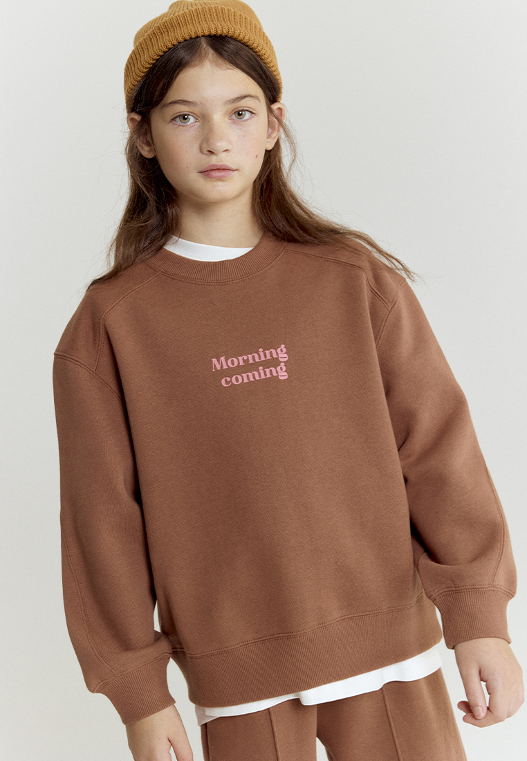 Свитшот artie W25K02T-1333D/Коричневый - фото 1