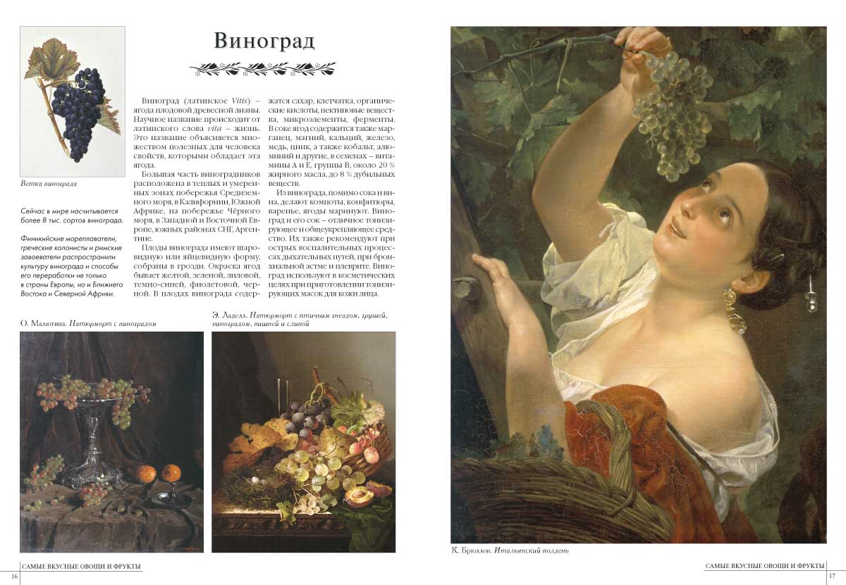 Книга Белый город 50. Самые вкусные овощи и фрукты - фото 2