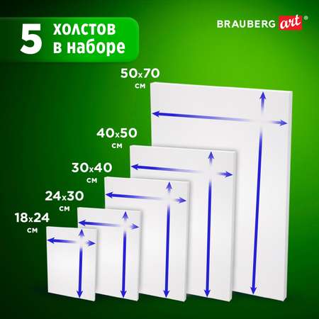 Холст на подрамнике Brauberg 30х40 см и др для рисования набор 5 штук