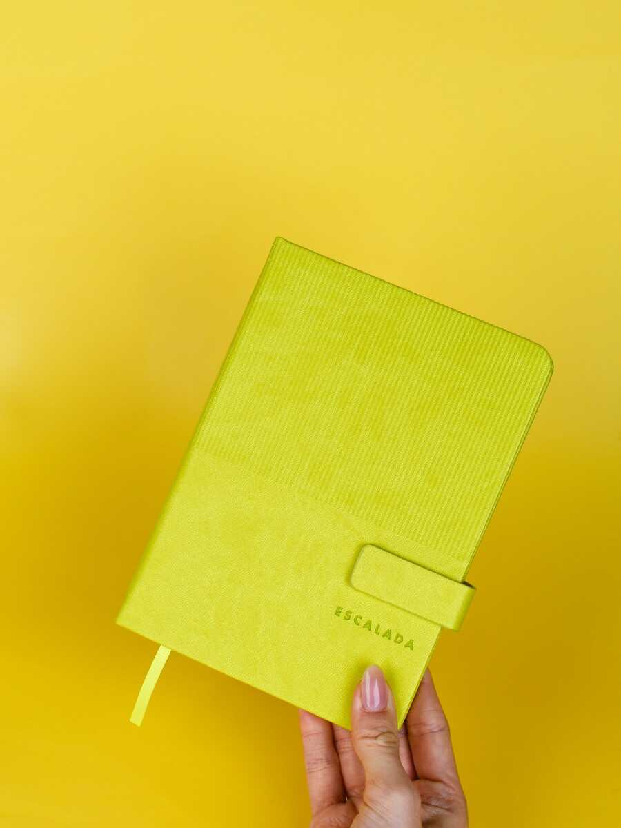 Ежедневник Феникс + ESCALADA 120 лист. - фото 2