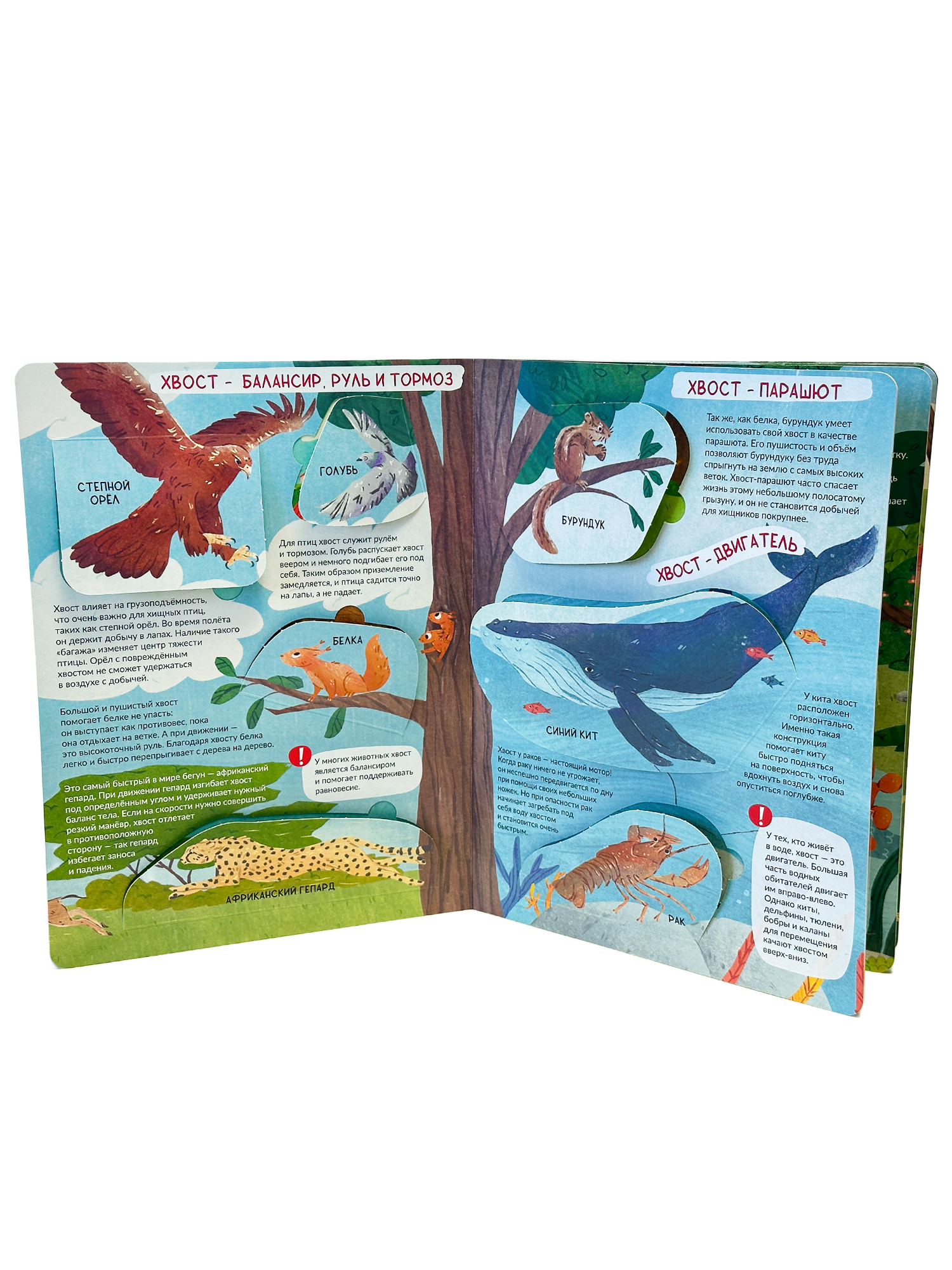 Энциклопедия с окошками БимБиМон Книга детская энциклопедия с окошками Виммельбух - фото 7