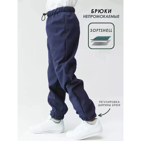 Брюки Lemonwear