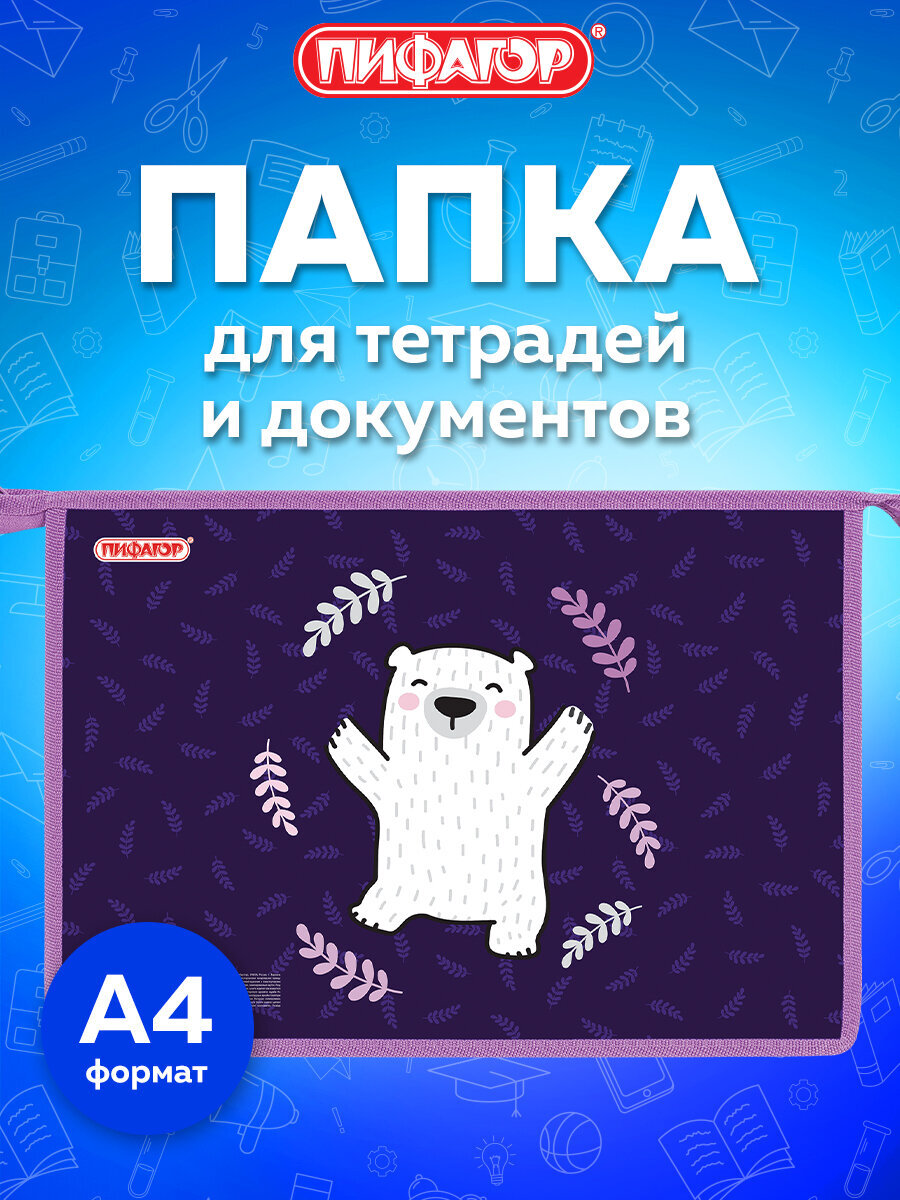 Папка для тетрадей Пифагор веселые мишки А4 - фото 1