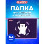 Папка для тетрадей Пифагор веселые мишки А4