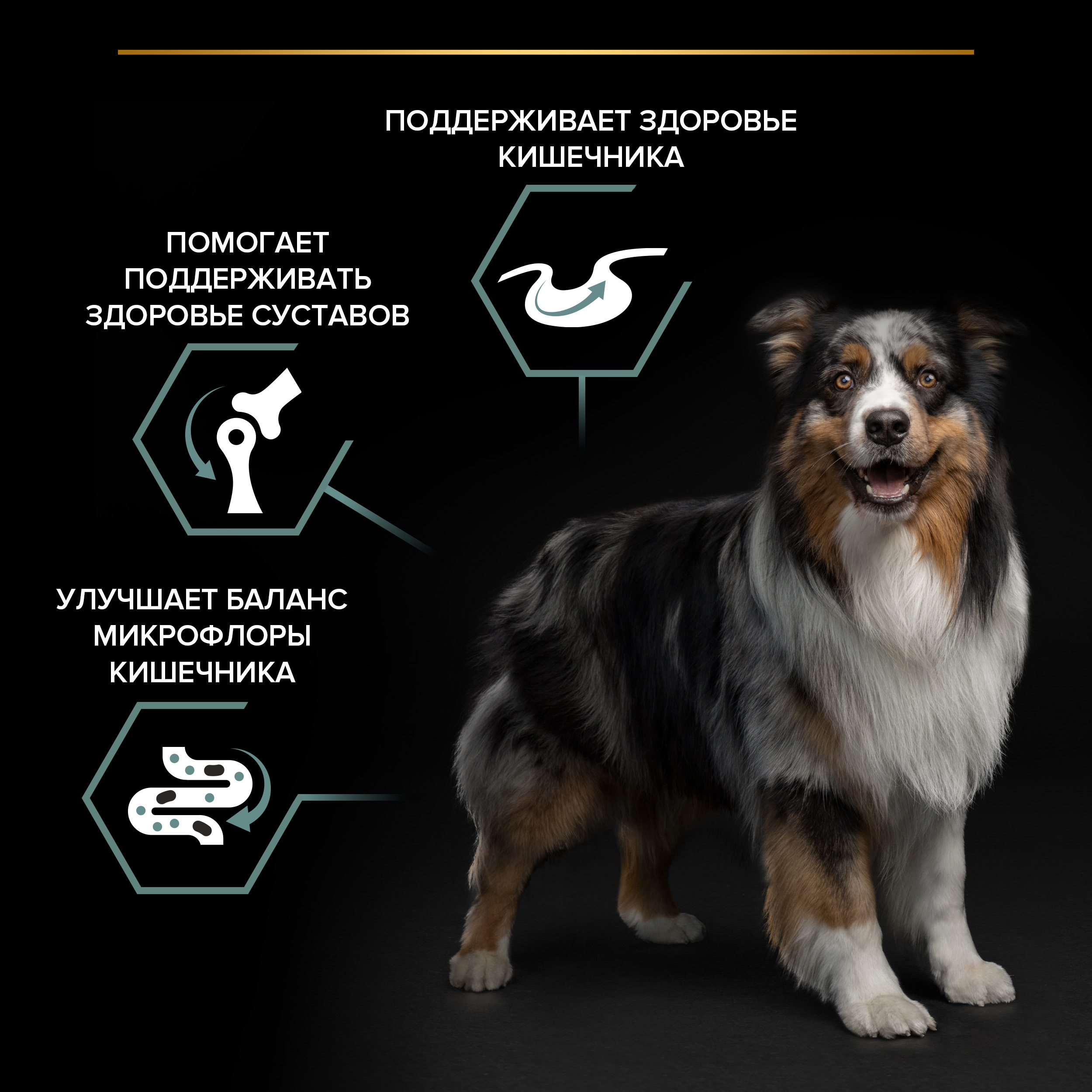 Корм сухой для собак PRO PLAN SENSITIVE DIGESTION 3 кг с ягненком для средних пород - фото 5