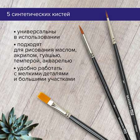 Кисть Brauberg 5 шт. (синтетика)