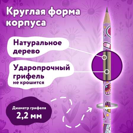 Карандаши чернографитные Юнландия 1 шт.