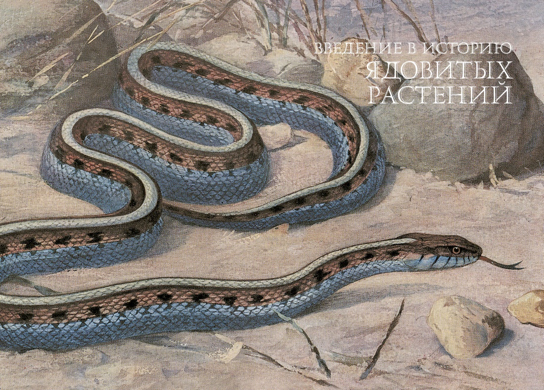 Книга КОЛИБРИ Магическое Средневековье. Лаис Э. Яды. Секретная сила растений - фото 5