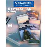 Общая тетрадь Brauberg клетка 96 лист. 5 шт.