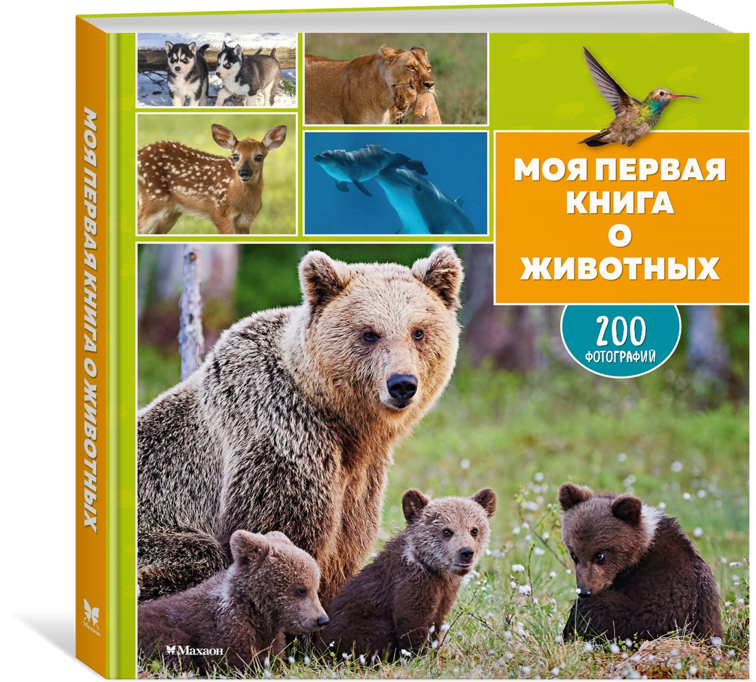Книга Махаон Энц Лепети Э Бурсэ К Эделин П Моя первая книга о животных 200 фотографий - фото 2