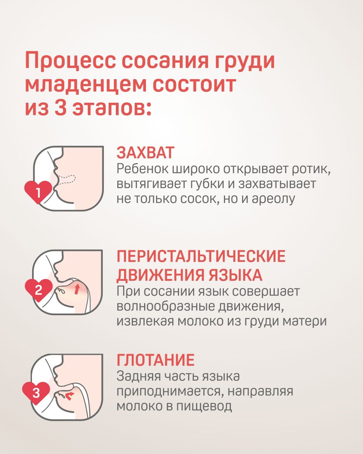 Соска Pigeon силикон 2 шт. - фото 13