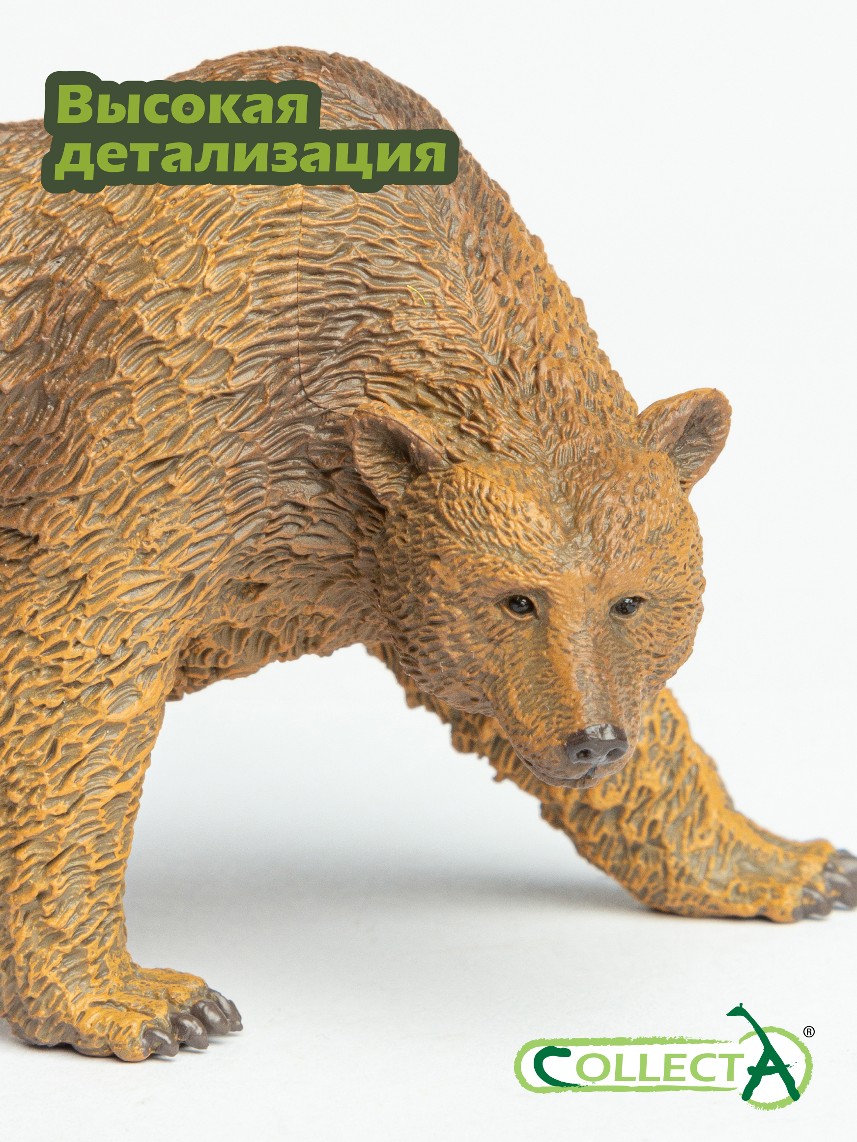 Фигурка Collecta Медведь бурый - фото 3
