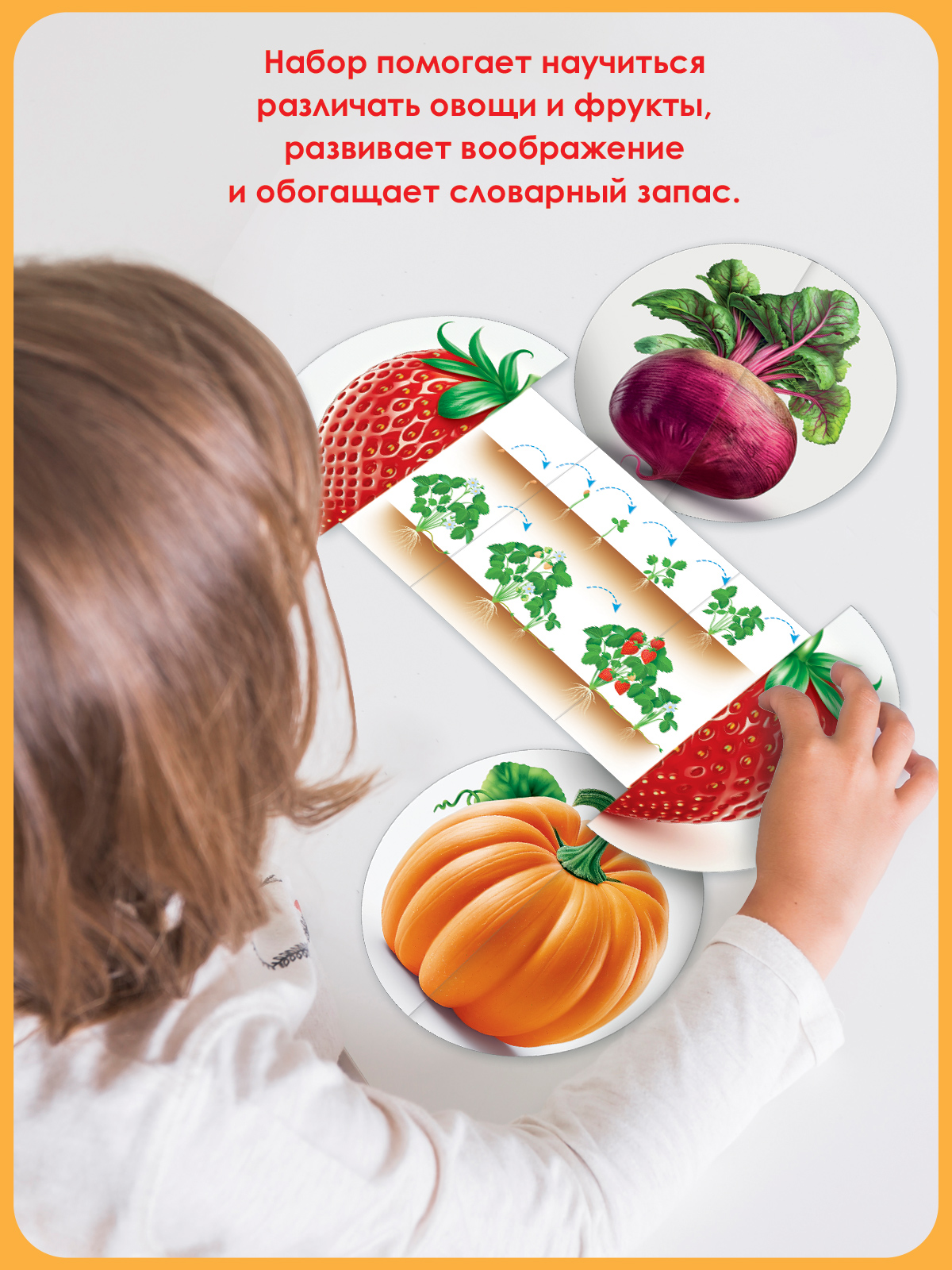 Набор развивающий Открытая планета овощи и фрукты наглядное пособие что и где растёт - фото 4