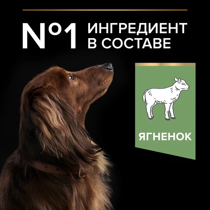 Корм для собак PRO PLAN Optidegest мелких и карликовых пород с чувствительным пищеварением ягненок-рис 2.5кг+500г 67208 - фото 6