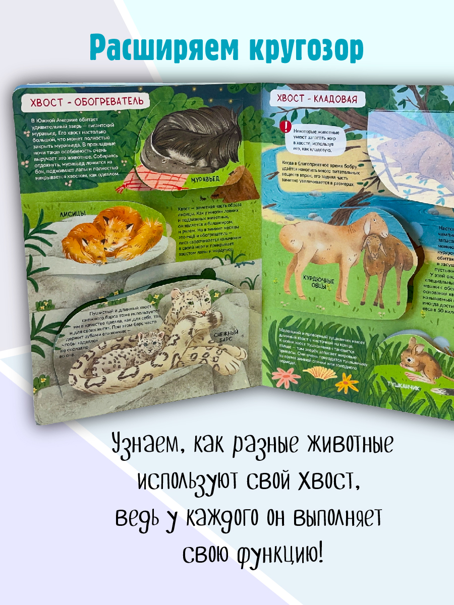 Энциклопедия с окошками БимБиМон Книга детская энциклопедия с окошками Виммельбух - фото 3