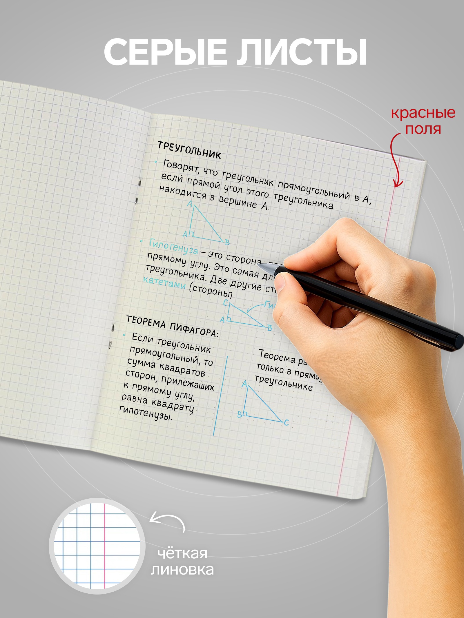 Тетрадь Calligrata клетка - фото 4