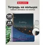 Тетрадь со сменным блоком Brauberg клетка 120 лист.