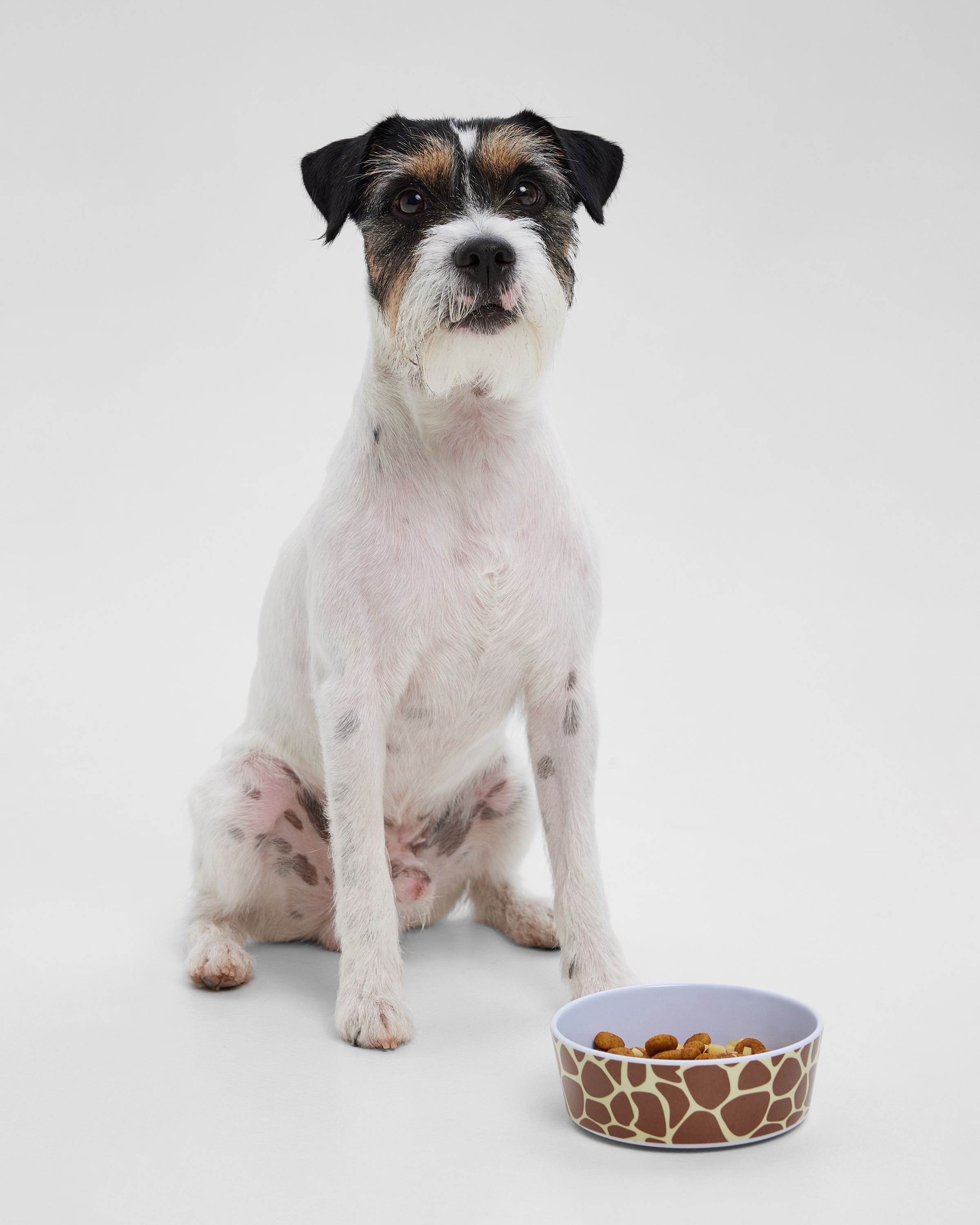 Миска для животного Barbaks Жираф 400мл меламин 13.4 4см - фото 1