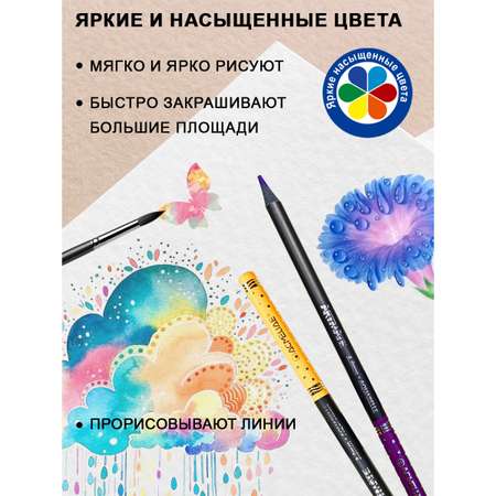 Карандаши акварельные ACMELIAE 25 шт.