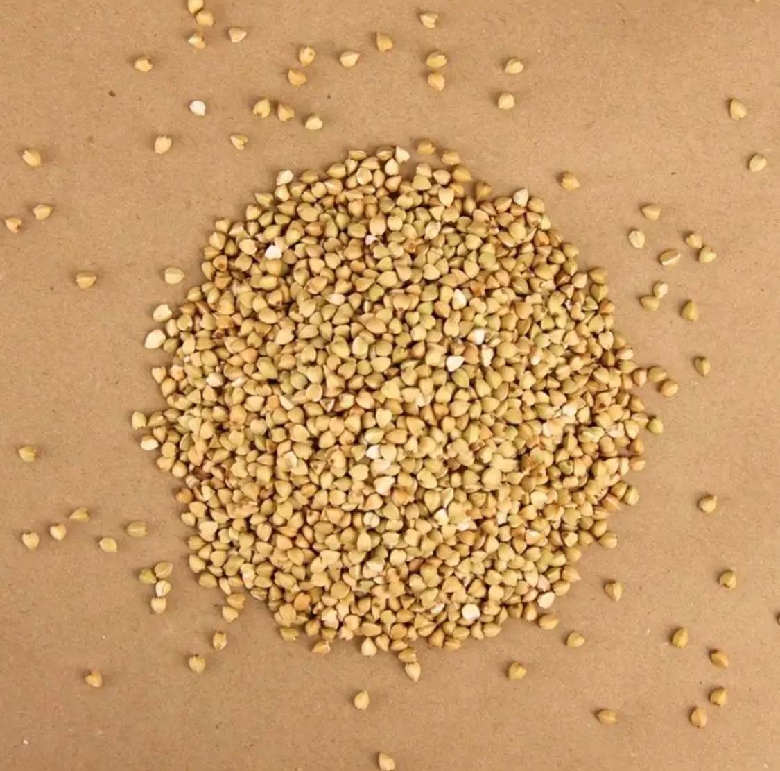 Семена для микрозелени Никольские ПроРостки гречка зеленая - фото 2