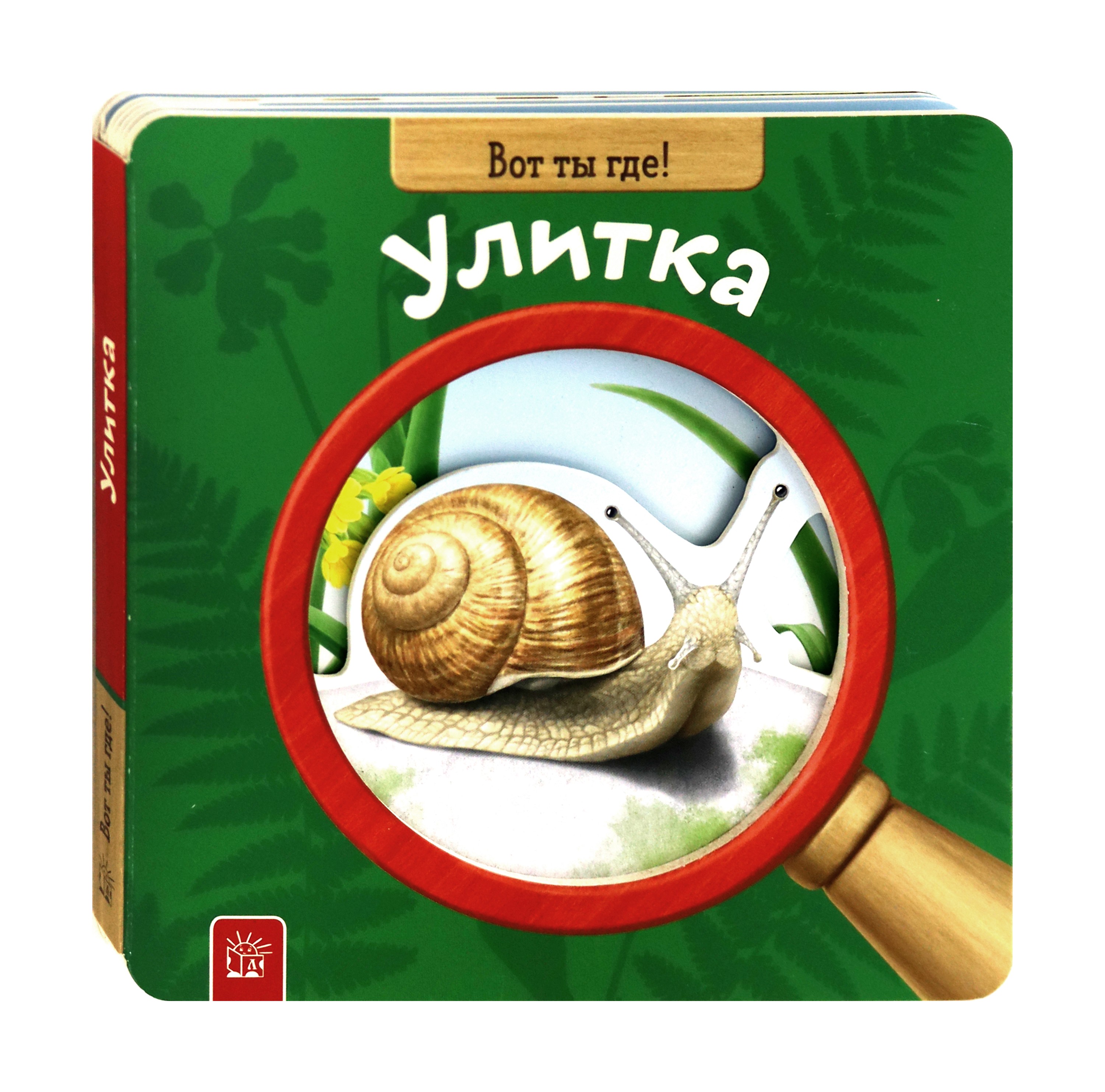 Книга Лабиринт Вот ты где! Улитка - фото 2