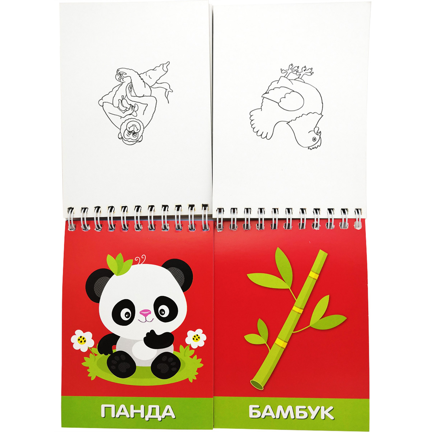Развивающие карточки Искатель Кто что ест? Найди пару 20+20 шт - фото 3