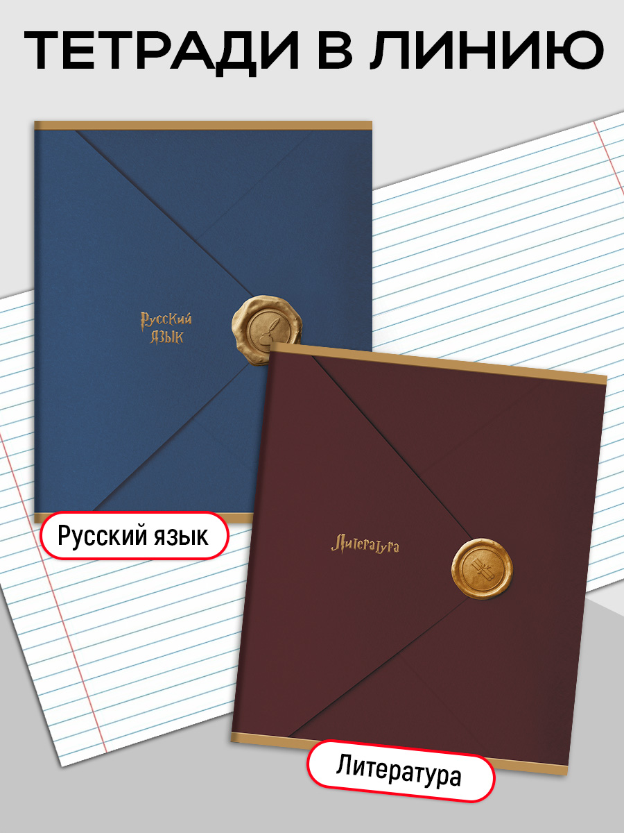 Тетрадь Prof-Press 24 лист. 10 шт. (Иностранный язык, Биология, История, Русский язык, Литература, Алгебра) - фото 3