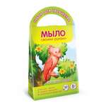 Набор Развивашки Солнечные фрукты мыло