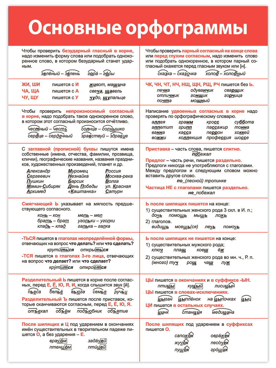 Набор обучающих плакатов Дрофа-Медиа Русский язык 1-4 класс 4021 - фото 6