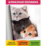 Алмазная мозаика Art on Canvas в ассортименте