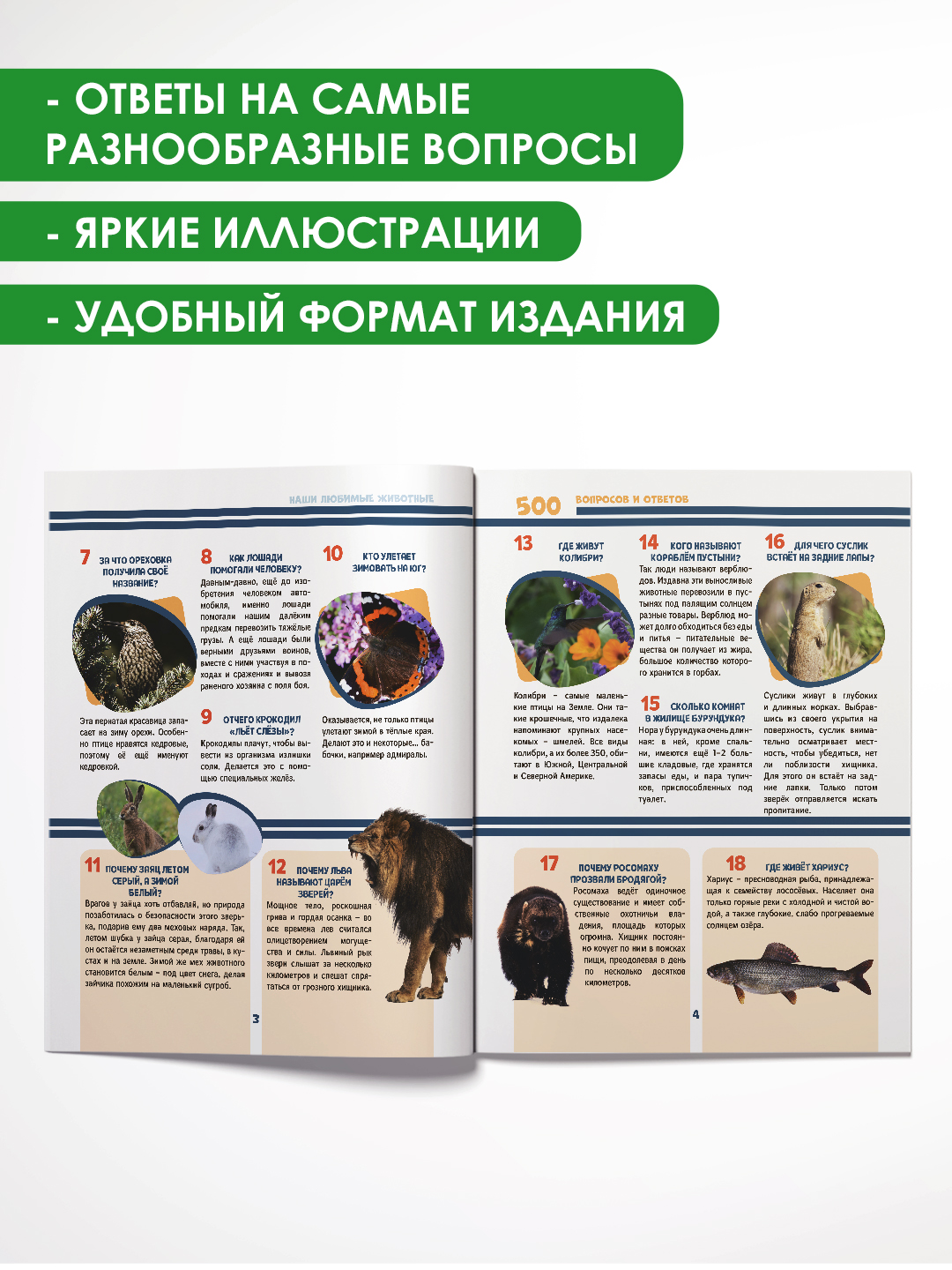 Книга Проф-Пресс Лучшая детская энциклопедия 96 стр мягкая обложка 500 вопросов и ответов - фото 2