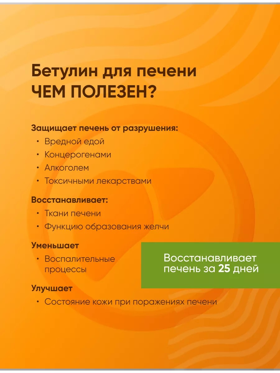 Бетулин 50 Incoda чистка печени и сосудов, от холестерина, 50 гр - фото 2