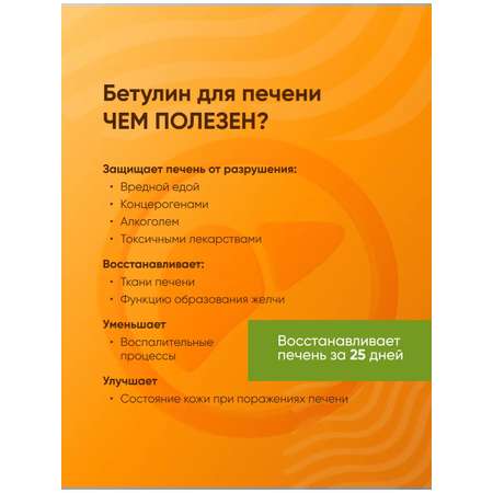 Бетулин 50 Incoda чистка печени и сосудов, от холестерина, 50 гр