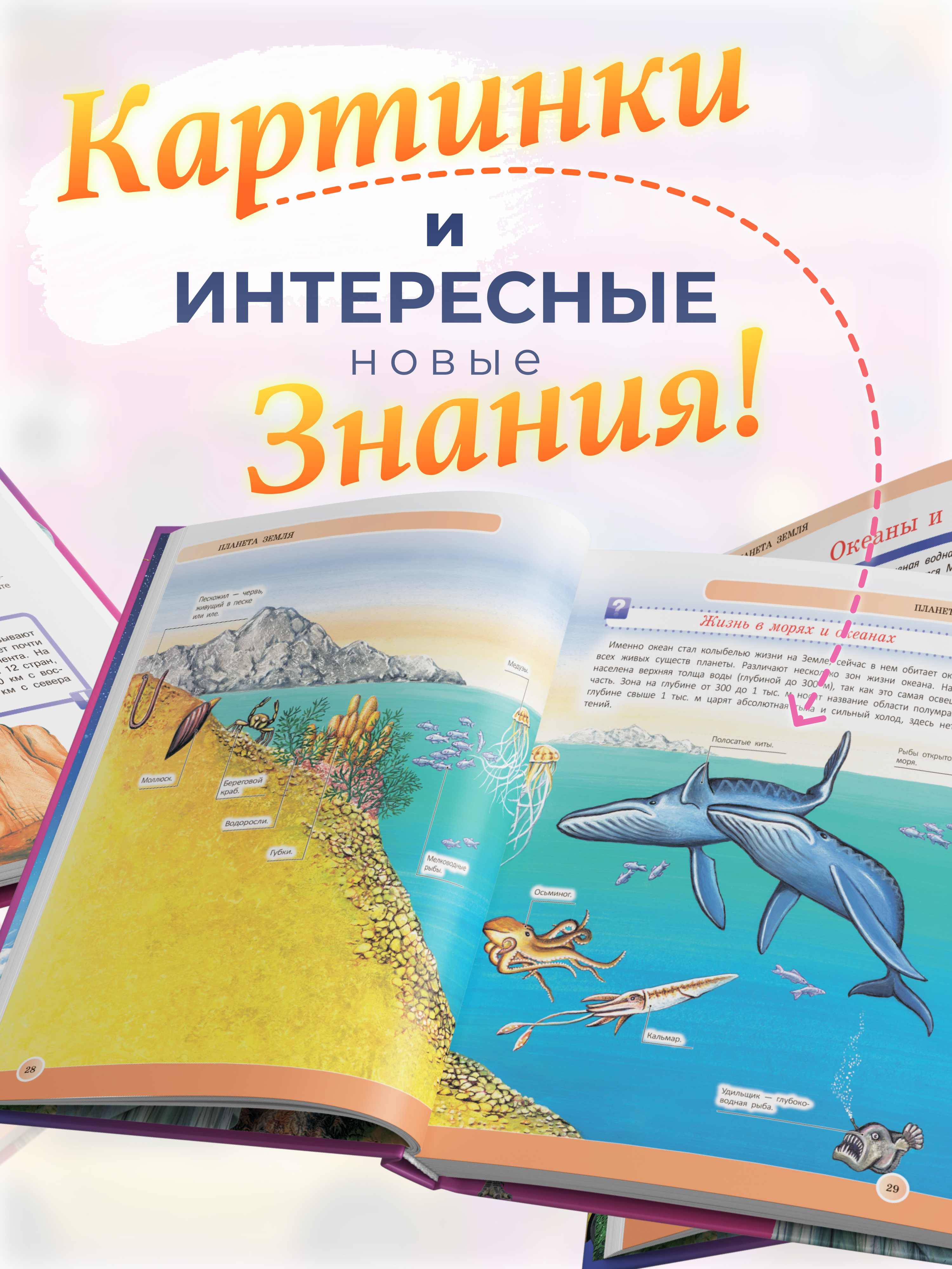 Книга для детей Харвест Новейшая энциклопедия школьника - фото 4
