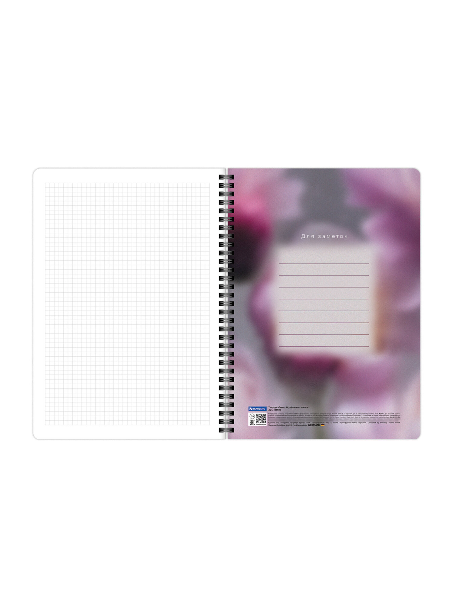 Общая тетрадь Brauberg клетка 96 лист. 2 шт. - фото 13