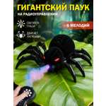 Паук РУ AUTODRIVE