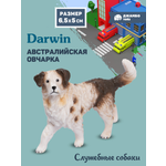 Фигурка DARWIN Собака Австралийская овчарка